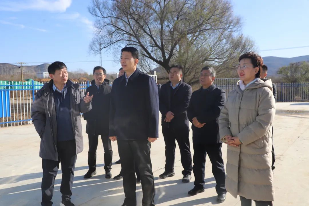 马山镇调研2.jpg